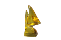 Brillennase Gelb