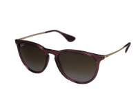 Ray Ban Sonnebrille RB4171 6593T5