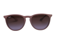 Ray Ban Sonnebrille RB4171 6000/68