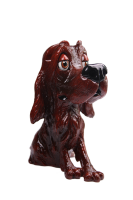 Brillennase "Brillenhund Setter"