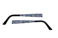 Eye Max Wechselbügel 5650 2002