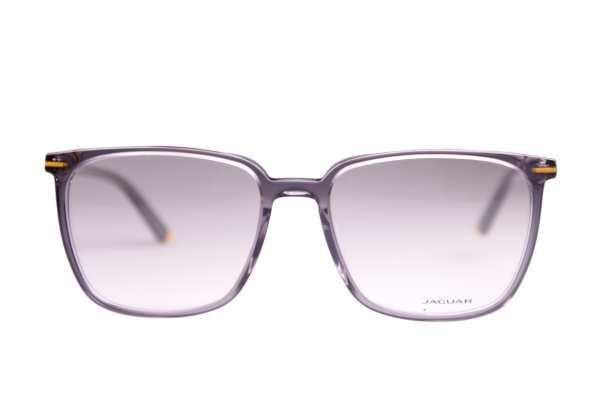 Jaguar Brillenfassung 31532-6522