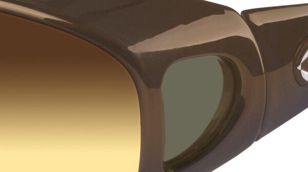 Dark-Bronze